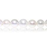 South Sea Pearl Necklace