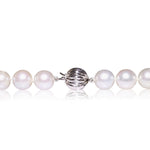 South Sea Pearl Necklace