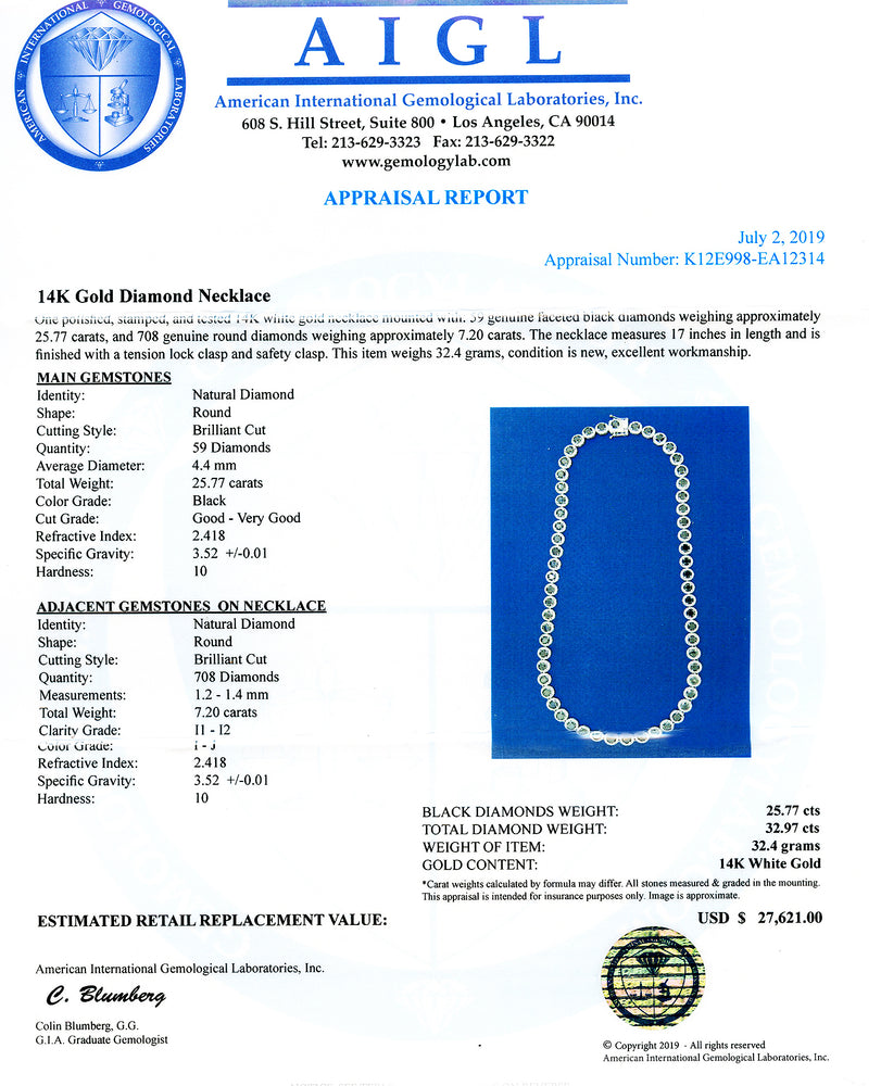 14K White Gold and Black Diamond Necklace
